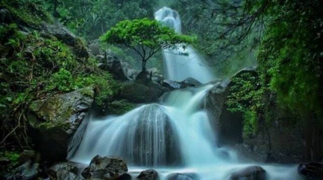 Harga Tiket Curug Hits Andalan Kota Bogor Curug Ciherang 2021